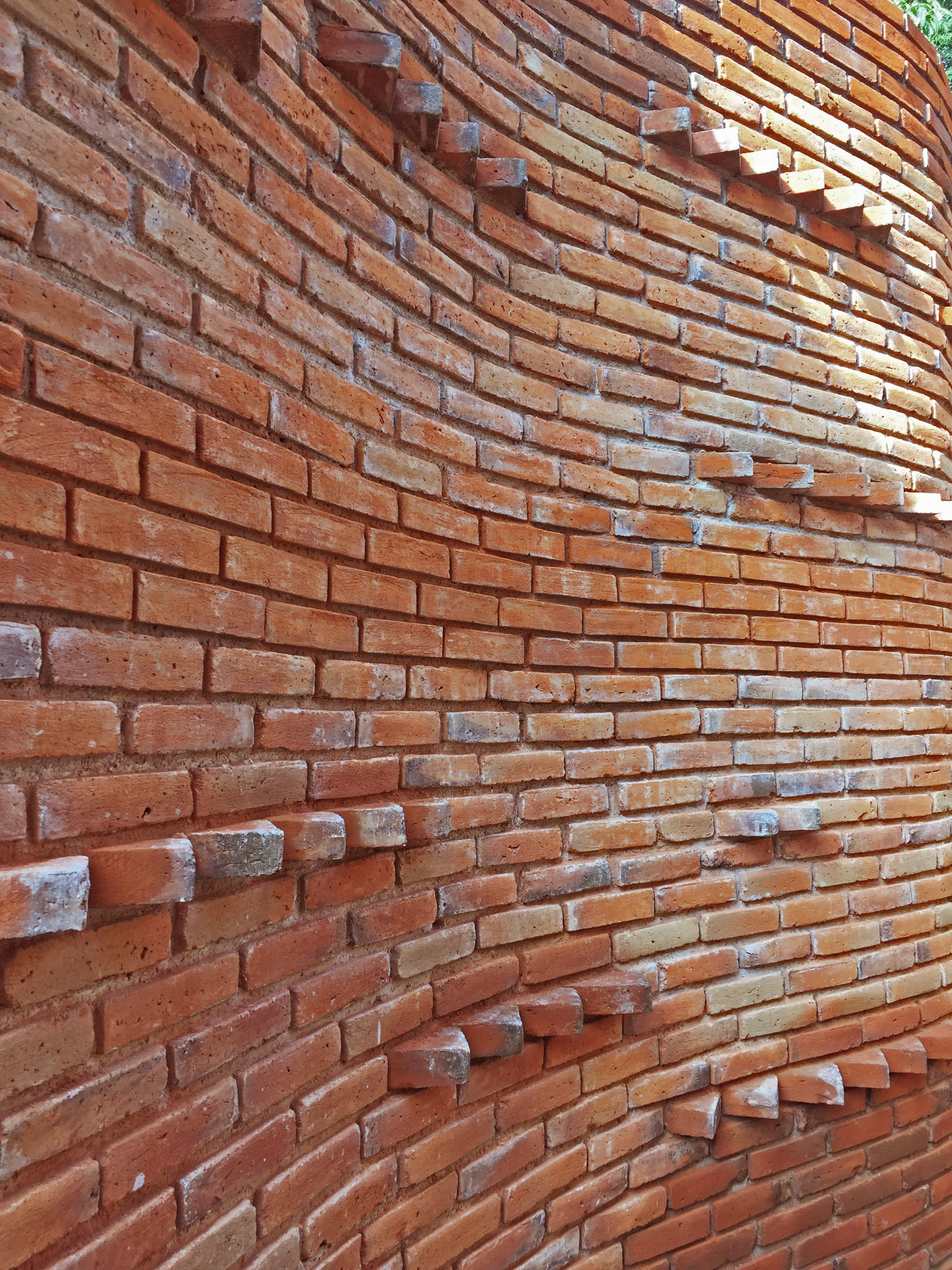 Proyecto